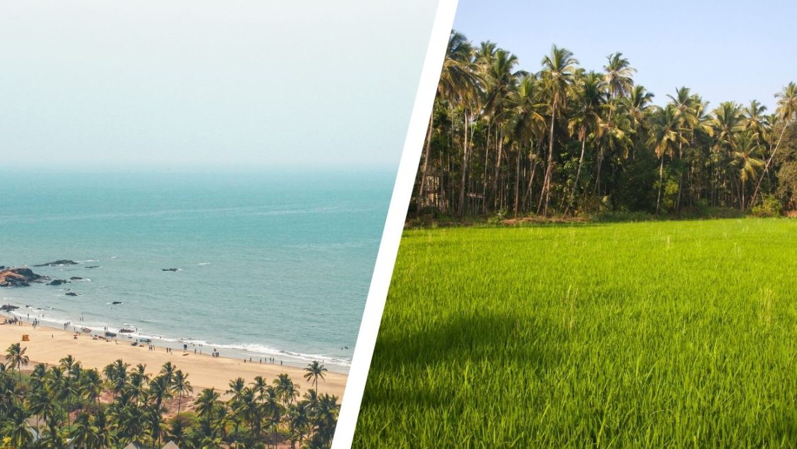 Living Close to the Beach vs. the Fields Which Part of Goa Suits You - Sun Estates