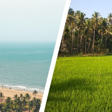 Living Close to the Beach vs. the Fields Which Part of Goa Suits You - Sun Estates