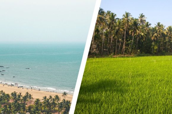 Living Close to the Beach vs. the Fields Which Part of Goa Suits You - Sun Estates